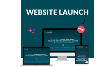 Infografik Launch Website