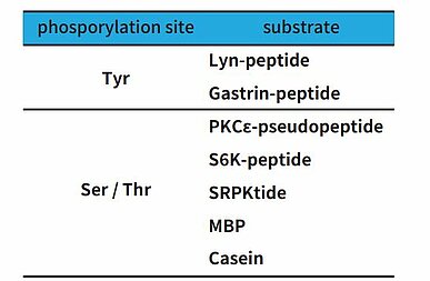 Substrates susceptible to phosphorylation by insect cell-derived kinase