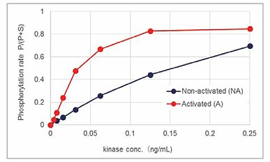 BTK kinase activation using ATP treatment