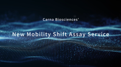 Carna’s Next-Gen Mobility Shift Assay Detection System supporting kinase drug discovery is now operational!