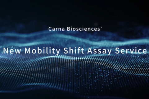 Mobility-Shift-Assay-Detektionssystem der nächsten Generation!